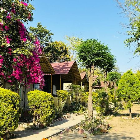 Camp High 5 Jayalgarh Dāngchura Exterior foto