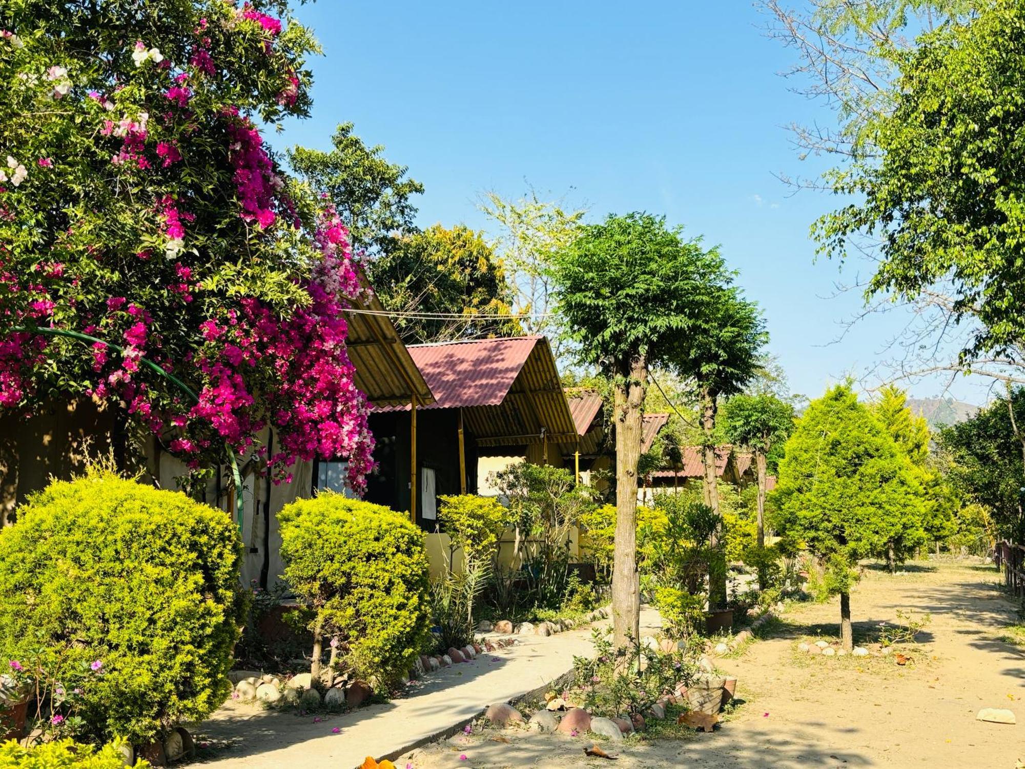 Camp High 5 Jayalgarh Dāngchura Exterior foto