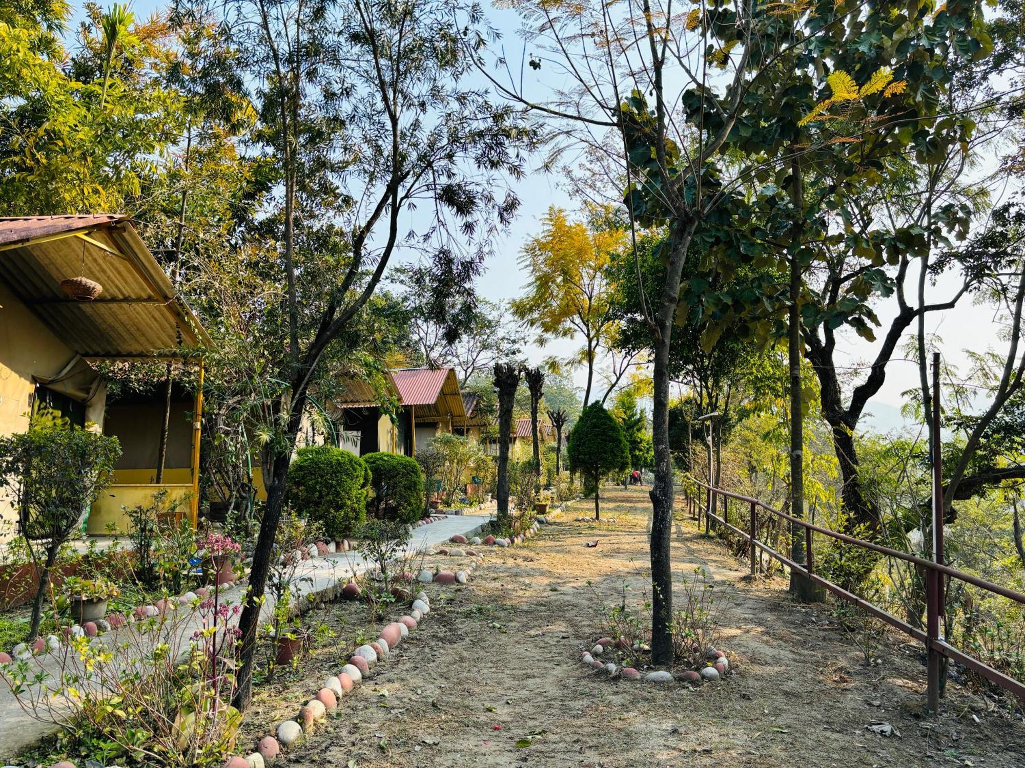 Camp High 5 Jayalgarh Dāngchura Exterior foto